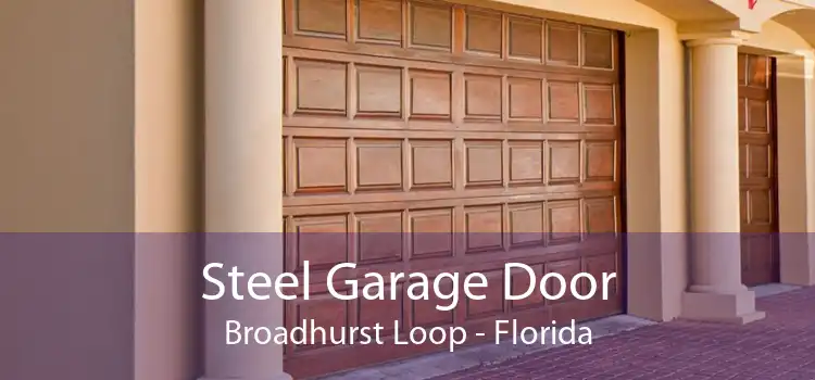 Steel Garage Door Broadhurst Loop - Florida