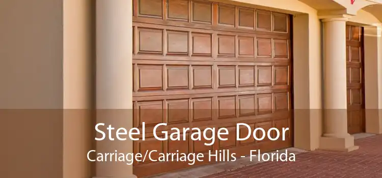 Steel Garage Door Carriage/Carriage Hills - Florida