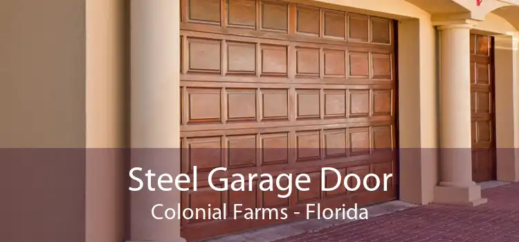 Steel Garage Door Colonial Farms - Florida