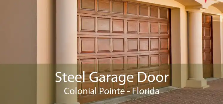 Steel Garage Door Colonial Pointe - Florida