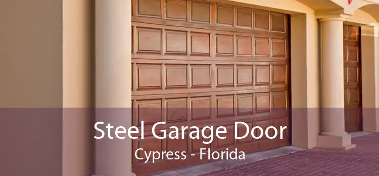 Steel Garage Door Cypress - Florida