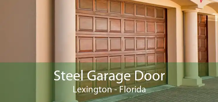 Steel Garage Door Lexington - Florida