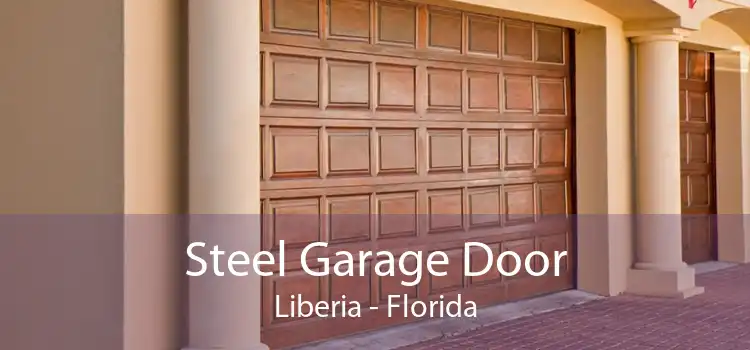 Steel Garage Door Liberia - Florida