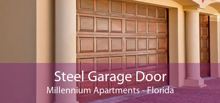 Steel Garage Door Millennium Apartments - Florida