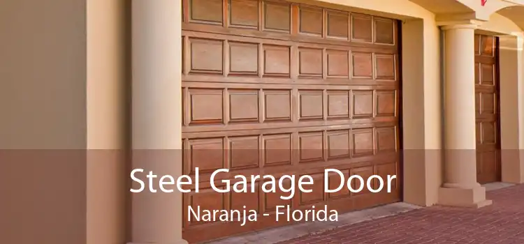 Steel Garage Door Naranja - Florida