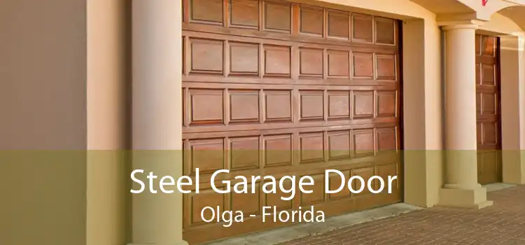 Steel Garage Door Olga - Florida