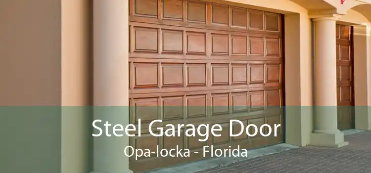 Steel Garage Door Opa-locka - Florida