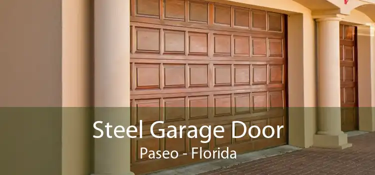 Steel Garage Door Paseo - Florida