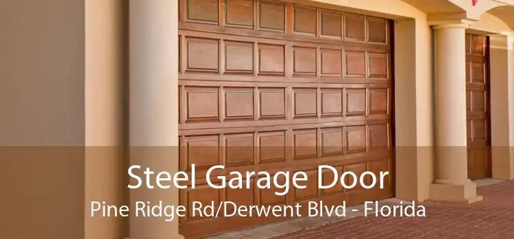 Steel Garage Door Pine Ridge Rd/Derwent Blvd - Florida