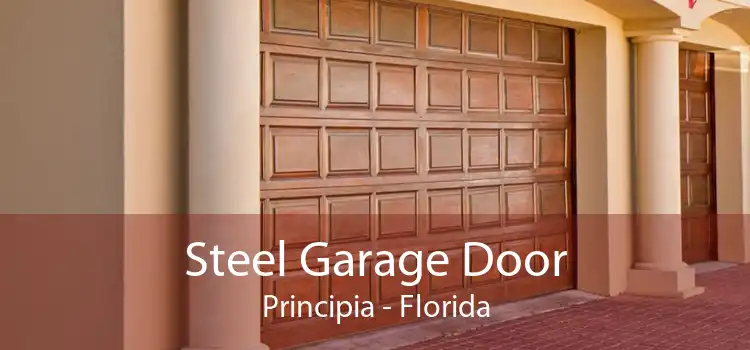 Steel Garage Door Principia - Florida