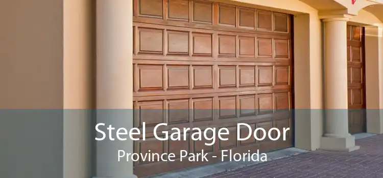 Steel Garage Door Province Park - Florida