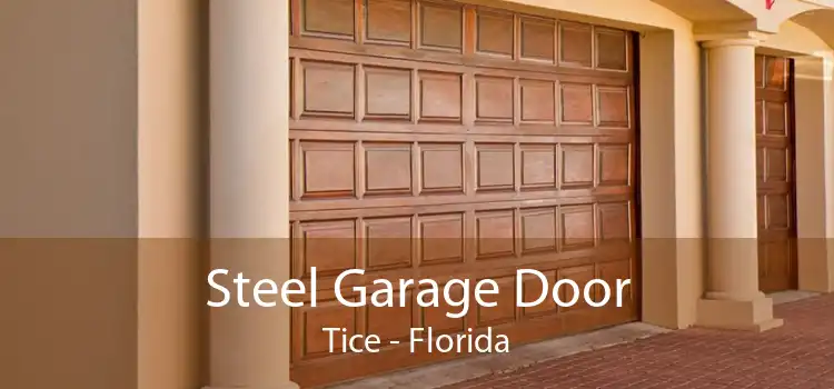 Steel Garage Door Tice - Florida