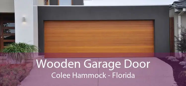 Wooden Garage Door Colee Hammock - Florida